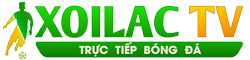 đắp mộ cuộc tình